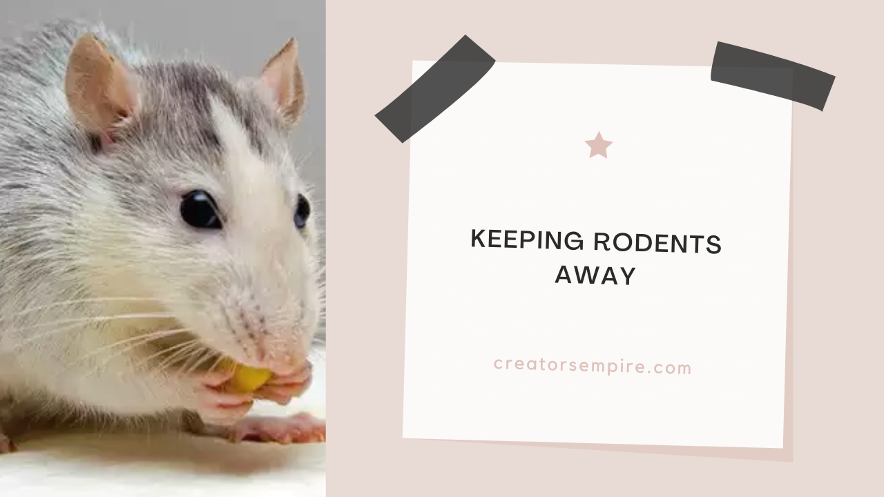 Keeping Rodents Away