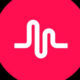 free followers musical ly