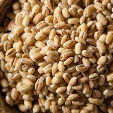 Gluten Free Substitute for Barley